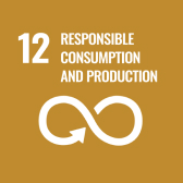 SDG: Responsible Consumption and Production