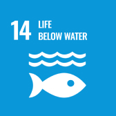 SDG: Life Below Water